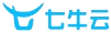 ţ